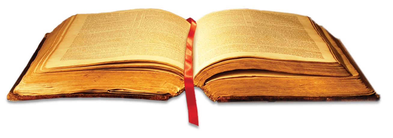 BIBLE
